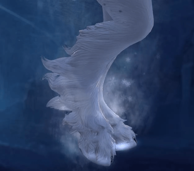 Ice Queen Feet